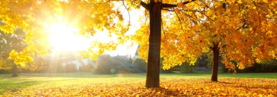 Contact Us At Either Of Our Locations