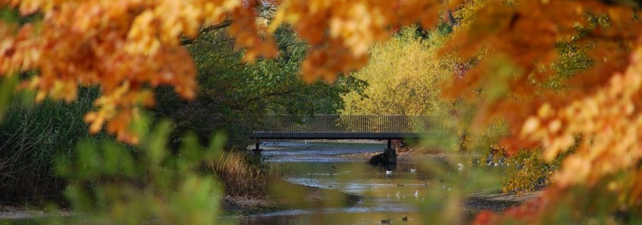 Mortuary Services For Funeral Directors